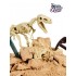 Science Can - Tyrannosaurus Rex Dinosaur Fossil Dig Kit