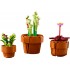 Botanical Collection – Tiny Plants 10329