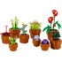 Botanical Collection – Tiny Plants 10329