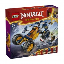 Arin's Ninja Off-Road Buggy Car 71811