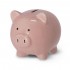 Coin Bank Piggy