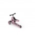 Πατίνι 2in1 Push & Go Highwaykick 1 Wildberry