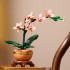 Botanical Collection – Mini Orchid 10343