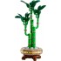 Botanical Collection – Lucky Bamboo 10344