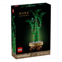 Botanical Collection – Lucky Bamboo 10344