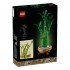 Botanical Collection – Lucky Bamboo 10344