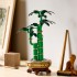 Botanical Collection – Lucky Bamboo 10344