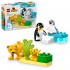 Wild Animal Families: Penguins & Lions 10442